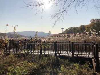 Scenic view of river against clear sky