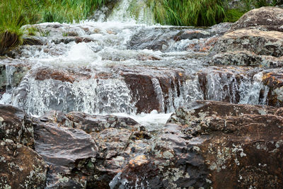 Scenic view of waterfall in forest