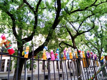 Multi colored umbrellas on tree