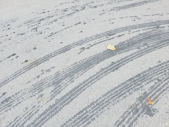 High angle view of snow on road