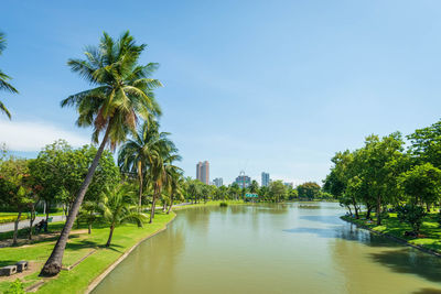 Scenic view of palm trees and building against sky