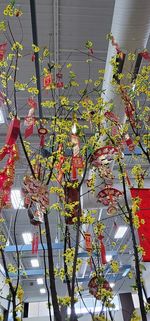 Low angle view of flowering plants against trees