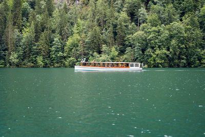 Boat sailing in lake against trees