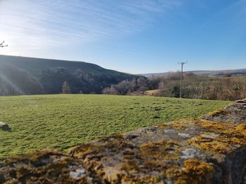 Scenic view of field against clear sky