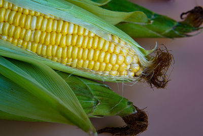Close-up of fresh green leaf