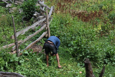 Rear view of man working on field