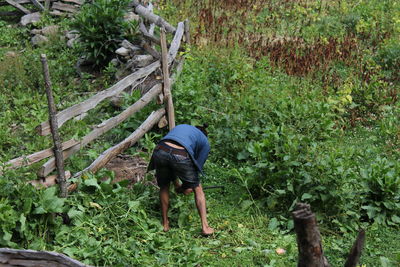 Rear view of man working on land 