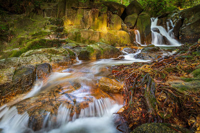 Waterfall in forest