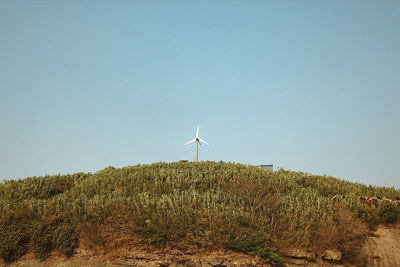 Wind turbines on field against clear sky