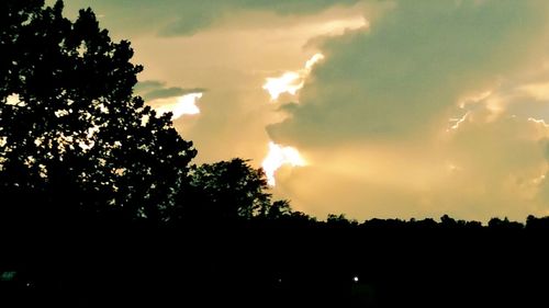 Silhouette of trees against cloudy sky