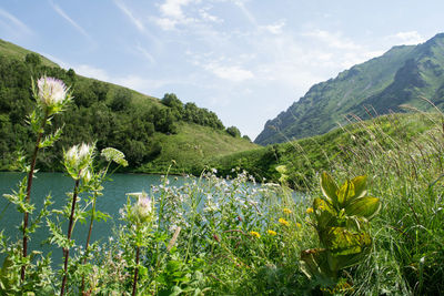 Scenic view of sea and mountains against sky