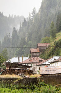 Scenic view of trees and houses in forest