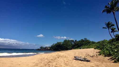 View of calm beach against blue sky