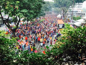 Plants growing in park
