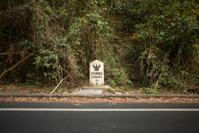 Road by trees