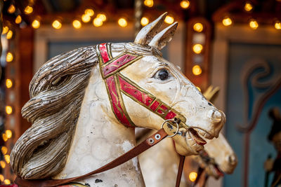 Close-up of a horse