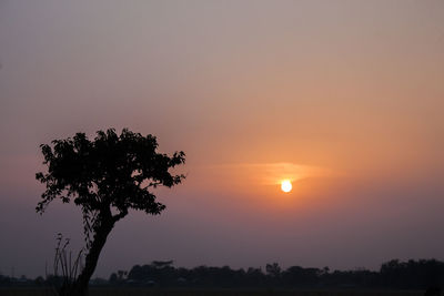 Silhouette tree against sky during sunset