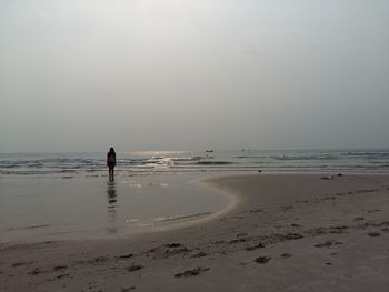 Rear view of man standing on beach against sky