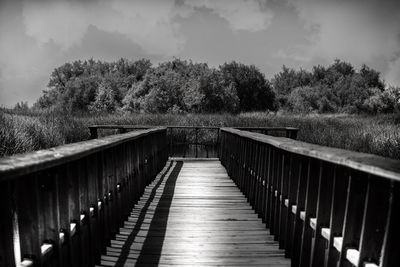 Footbridge leading towards trees