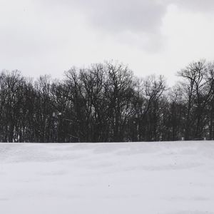 Trees against sky during winter