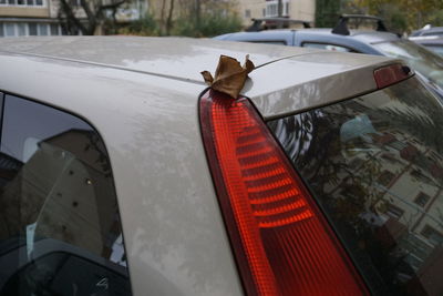 Horse cart in a car