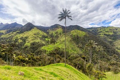 Scenic view of landscape against sky