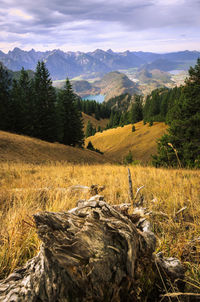 Scenic view of landscape against sky