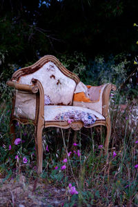 Empty chairs on field against trees in forest