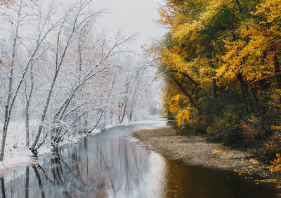 River amidst trees in forest during autumn