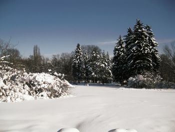 Snow covered land and trees against sky