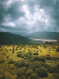 Scenic view of landscape against sky