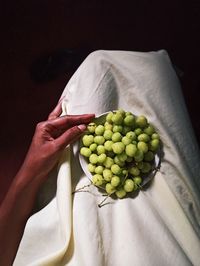 Close-up of hand holding fruits