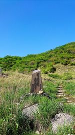 View of green landscape against blue sky