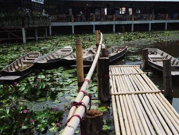 Cropped image of woman with umbrella by canal against plants