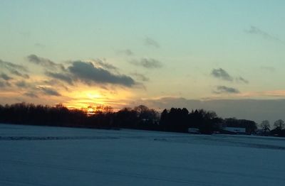 Silhouette trees on snow field against sky during sunset