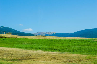 Scenic view of field against blue sky