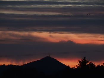 Low angle view of silhouette trees against sky at sunset