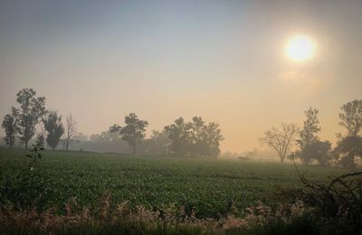 Scenic view of field against sky during foggy weather