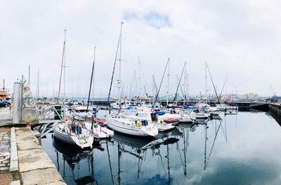Sailboats moored in harbor