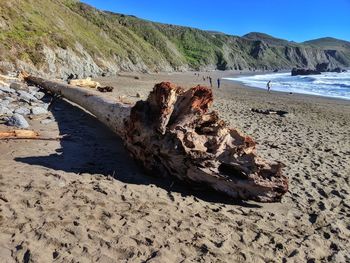 Driftwood log on beach