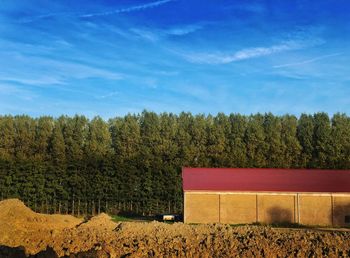 Trees growing on field against sky