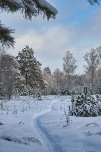 Trees on snow covered field against sky