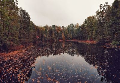 Reflection of trees in lake against sky during autumn