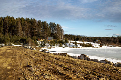 Trees on snow covered land against sky