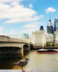 View of bridge over river in city