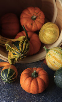 Different variety of pumpkin. happy fall