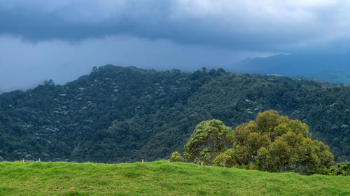 Scenic view of landscape against sky