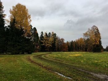 Trees on field against sky