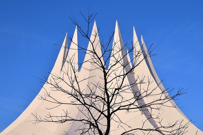 Low angle view of bare tree against sky