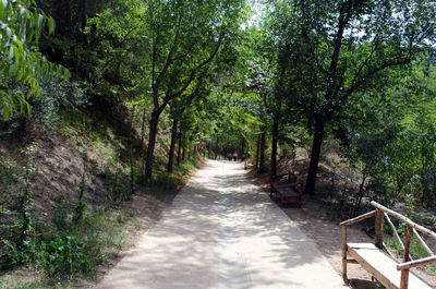 View of trees on landscape